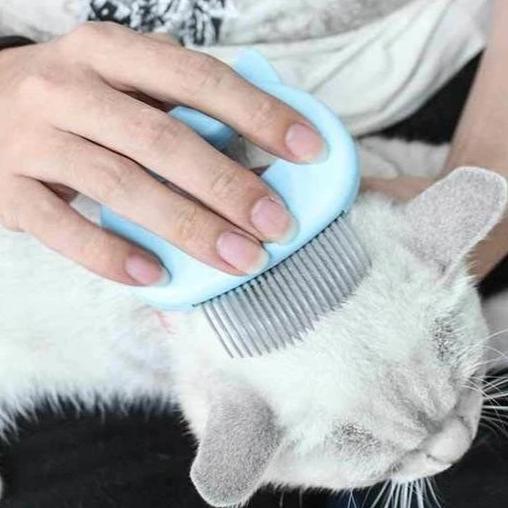 Massage et plaisir des soins pour votre chat!