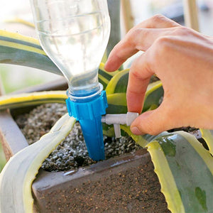Système d'irrigation pour les plantes en pot